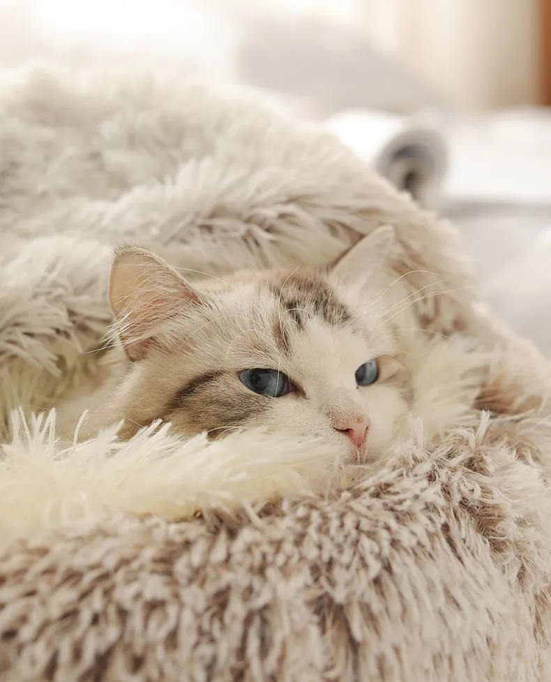 Cats Round Plush Bed Cats Round Plush Bed